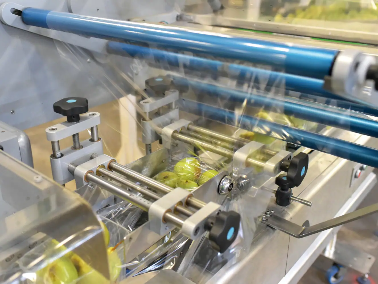 Automatisierte Verpackungsmaschine für Obst in der Industrie 4.0.